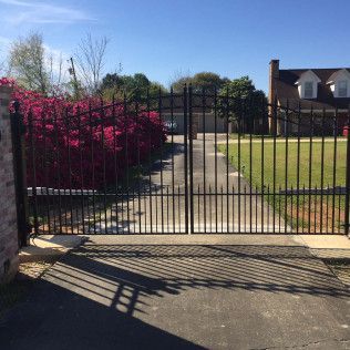 Black metal gate opening to a concrete path beside a bright pink hedge and grassy yard under sunny skies