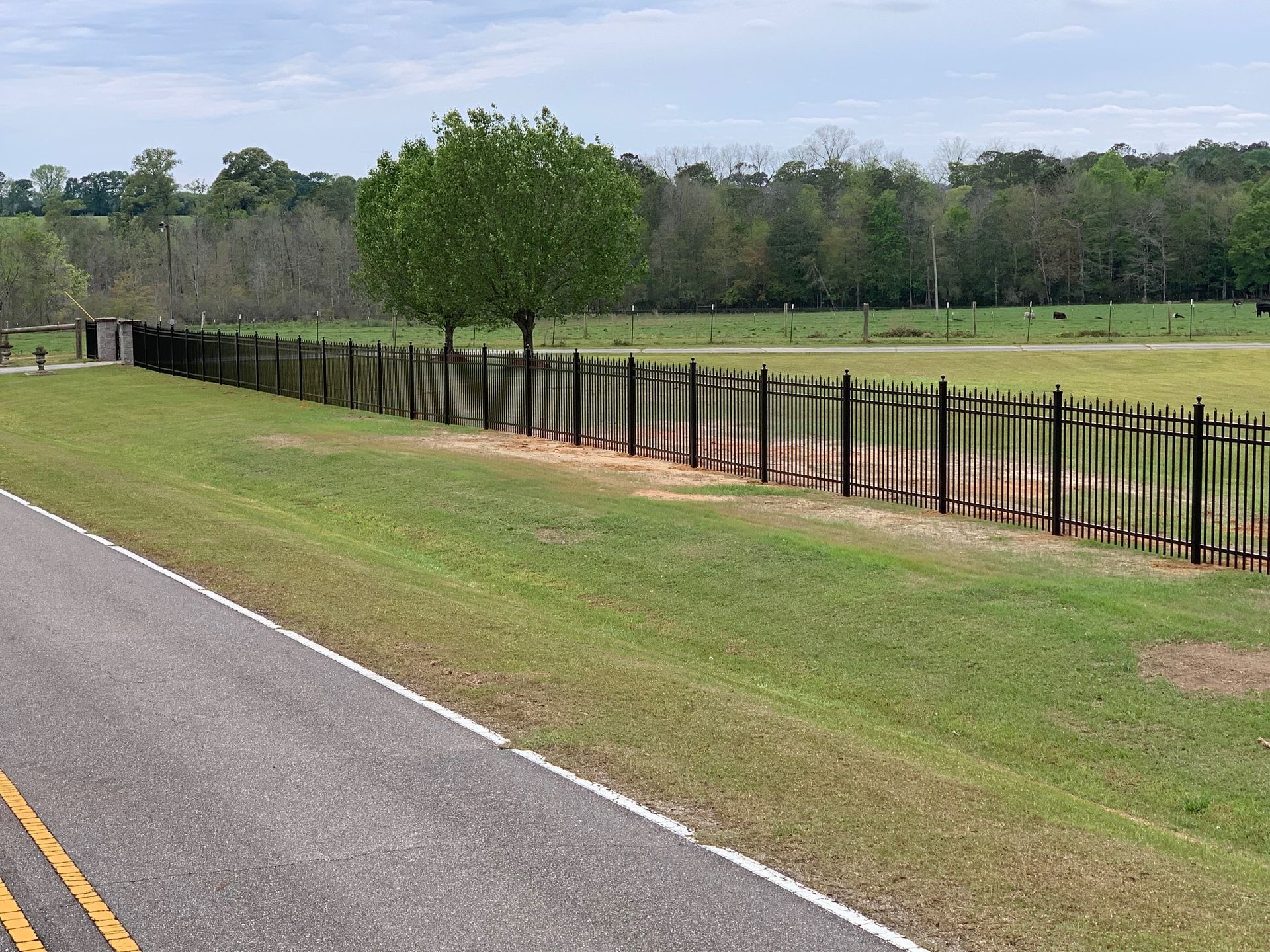 Rural roadside with black fence, green field, and trees under a blue sky