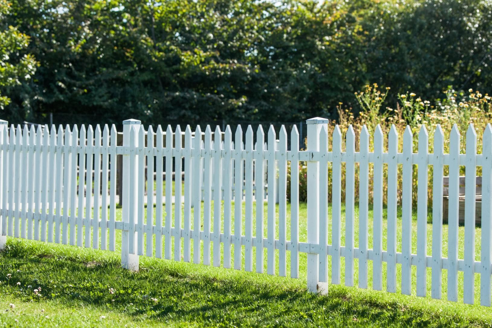 White picket fence along a grassy yard with trees in the background