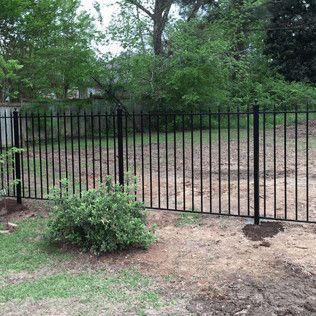 Black metal fence across a dirt yard with grass and trees in the background
