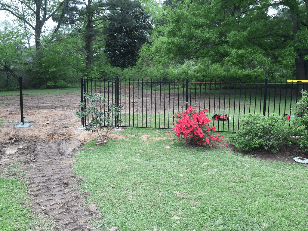 Backyard lawn with a black metal fence, trees, and a bright pink flowering bush