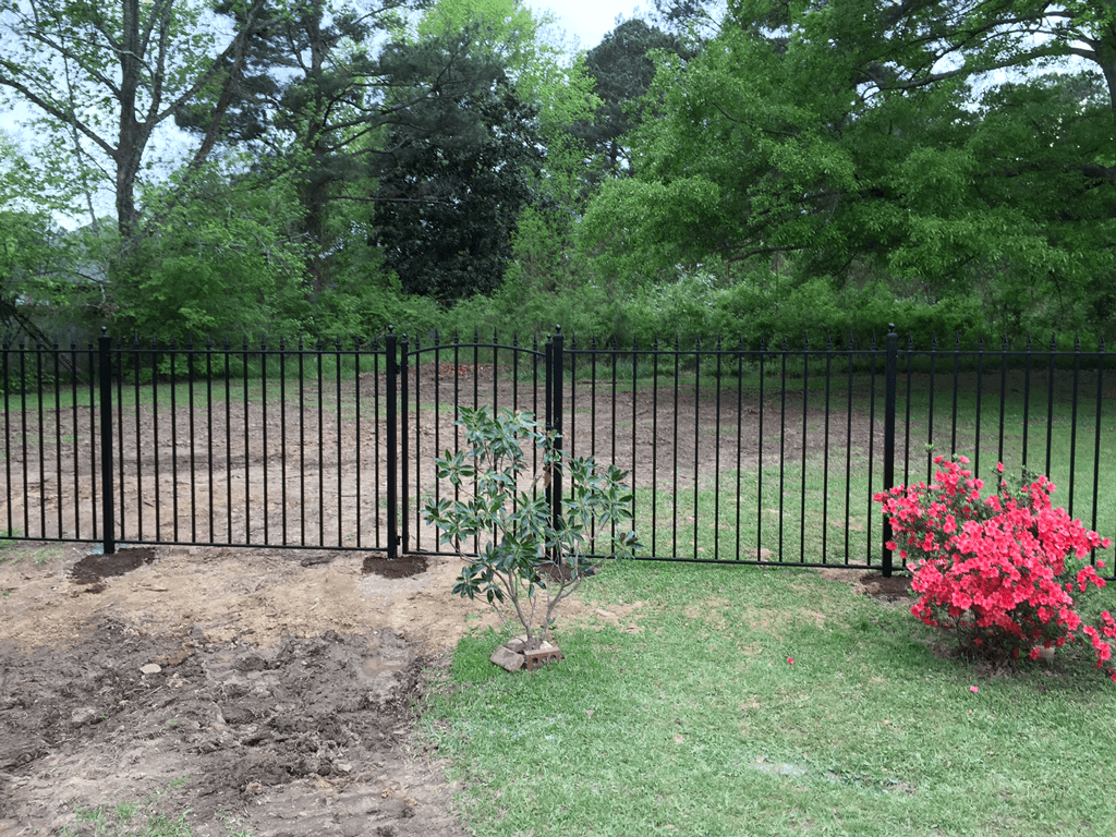 Backyard with black fence, green lawn, bare soil patch, and pink flowering bush.