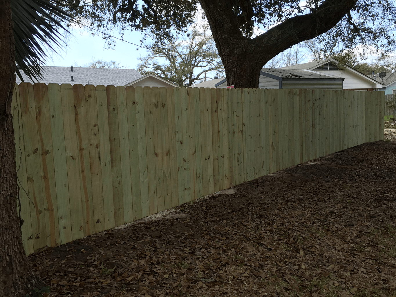 Wooden privacy fence under a large tree in a leaf-covered yard