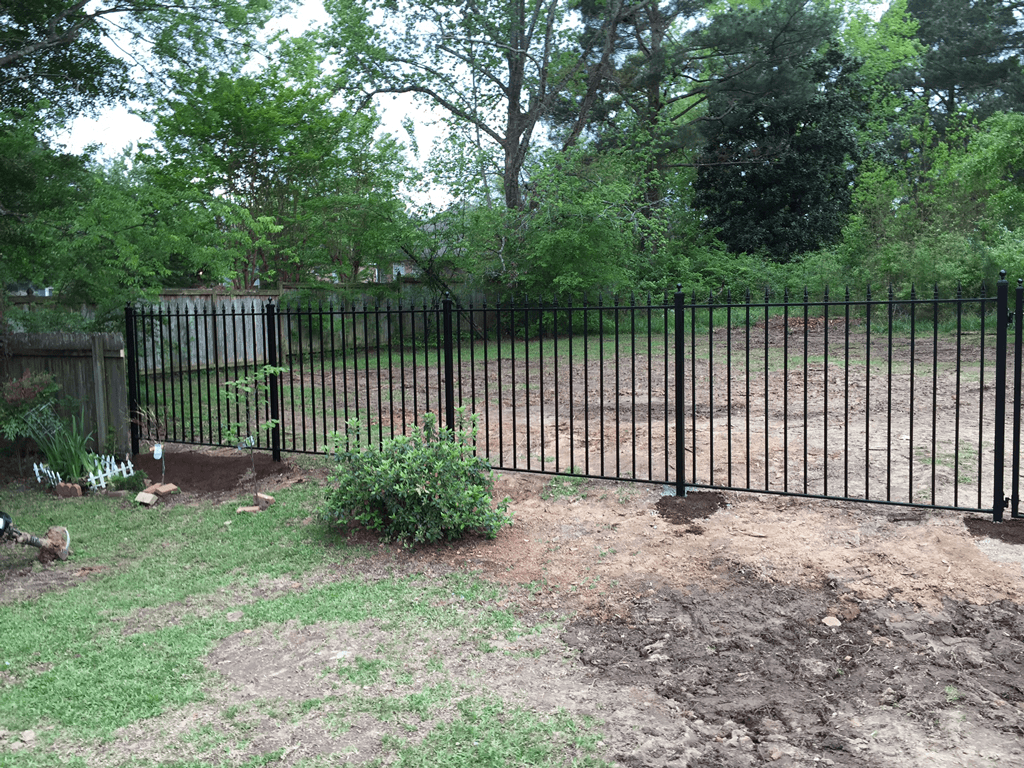 Black metal fence beside a dirt yard with trees and a small shrub in front