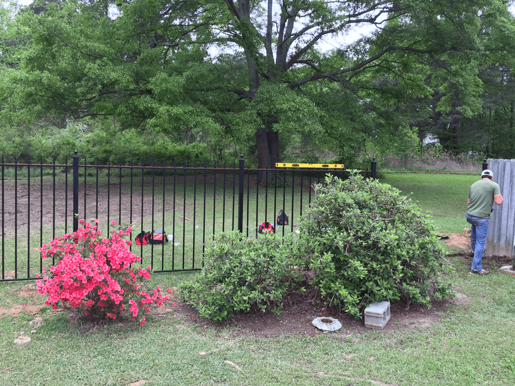 Garden with pink flowers and shrubs by a black fence, and a person working near a blue bin.