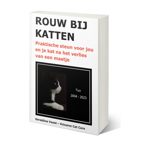 Book cover: