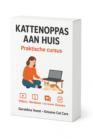 Witte doos met de tekst