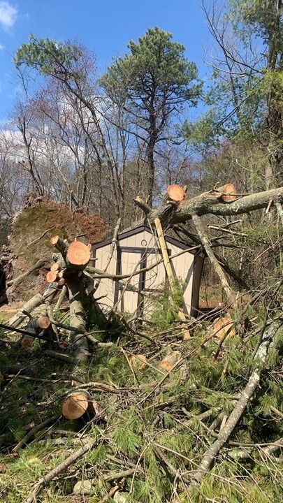 Tree At The Roof Of Housse  – Howell, NJ - Aaron's Tree Service, LLC