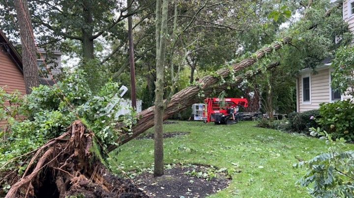 Tree Falling – Howell, NJ - Aaron's Tree Service, LLC