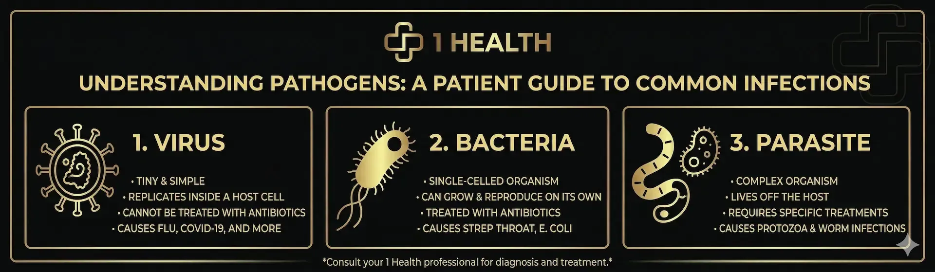 Infographic on health pathogens: virus, bacteria, and parasite, shown in three labeled panels on a dark background