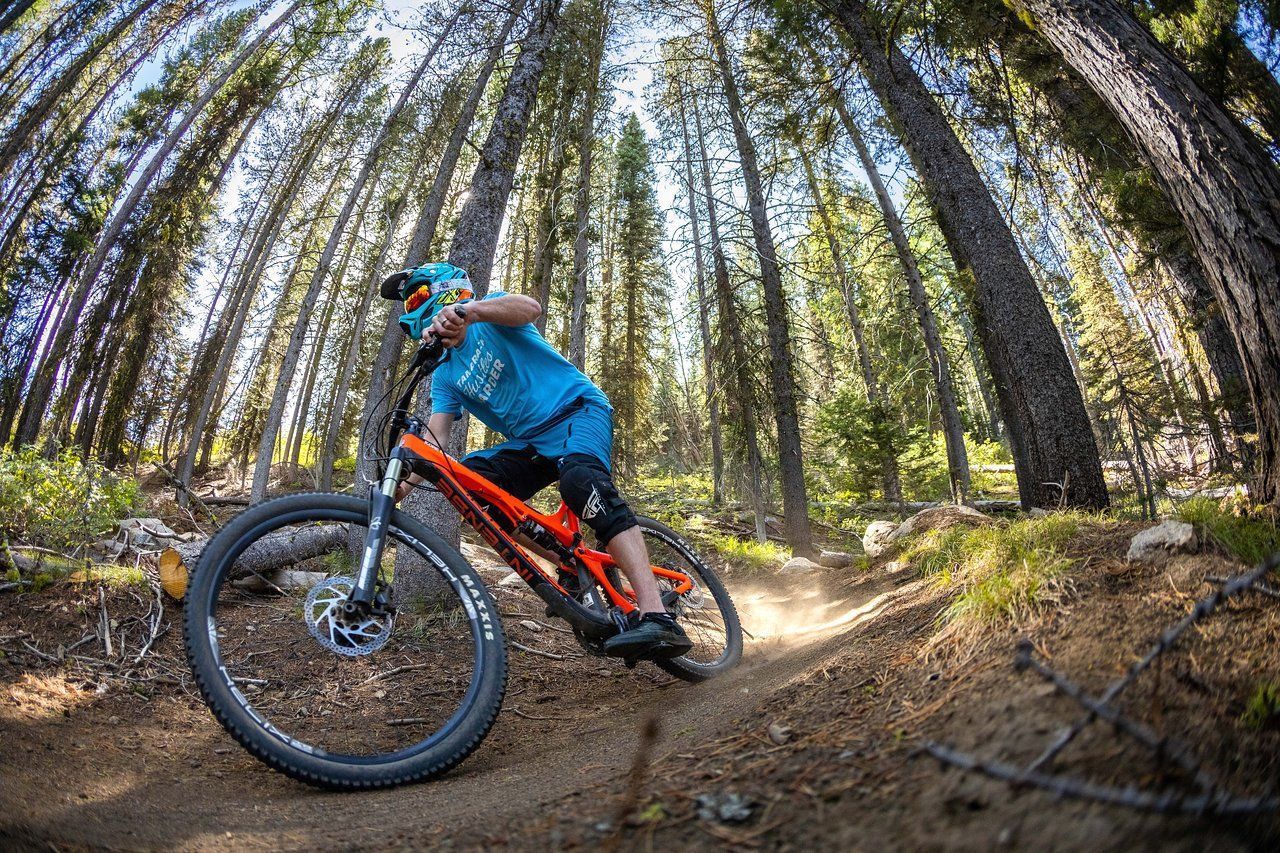 Mountain Biking