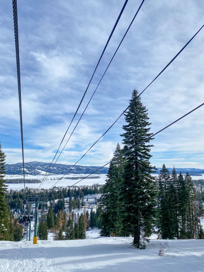 Tamarack Winter View