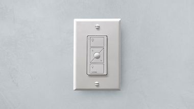 White wall switch and dimmer plate, mounted on a light gray wall.