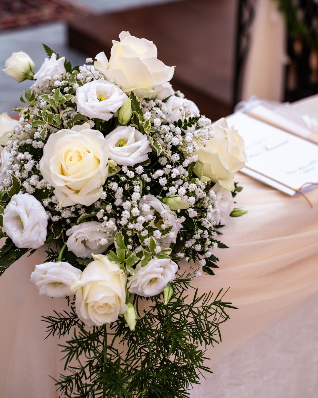 Piante e fiori