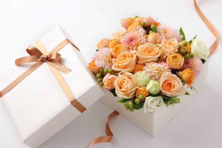 fiori e piante in vendita