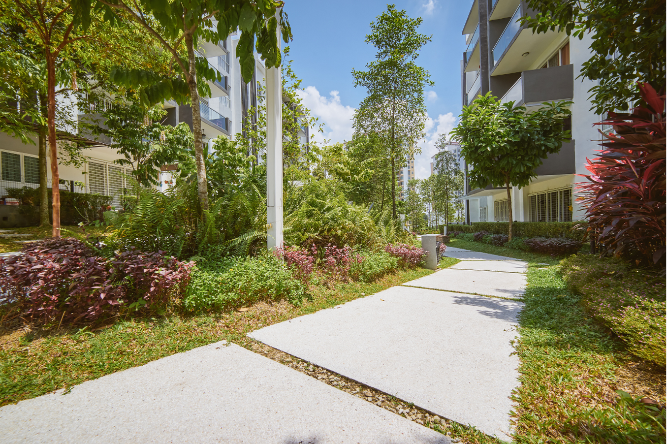 Sunny apartment courtyard with a white walkway, green trees, and landscaped shrubs beside buildings