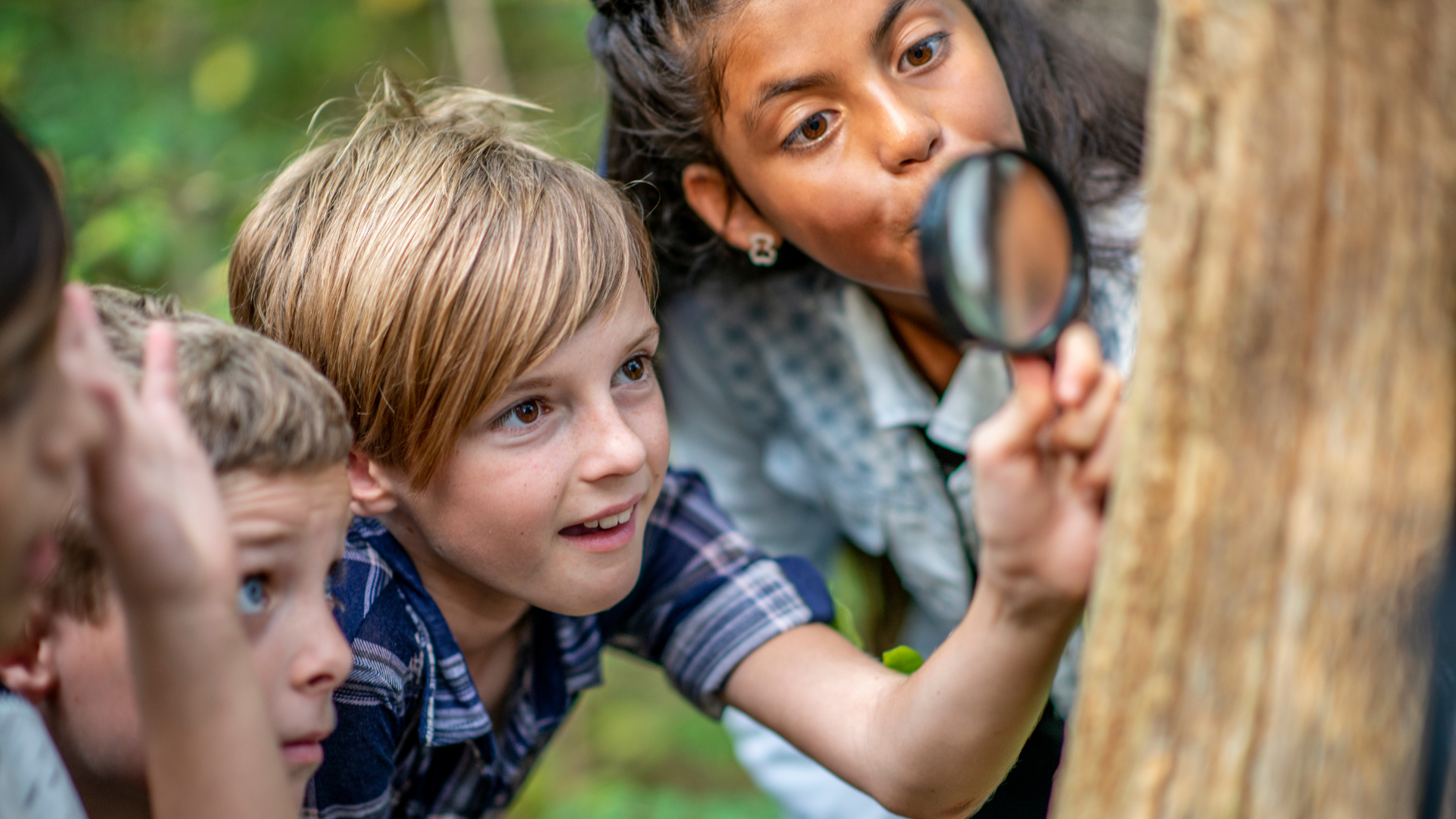 Children outdoors examining something with a magnifying glass near a tree