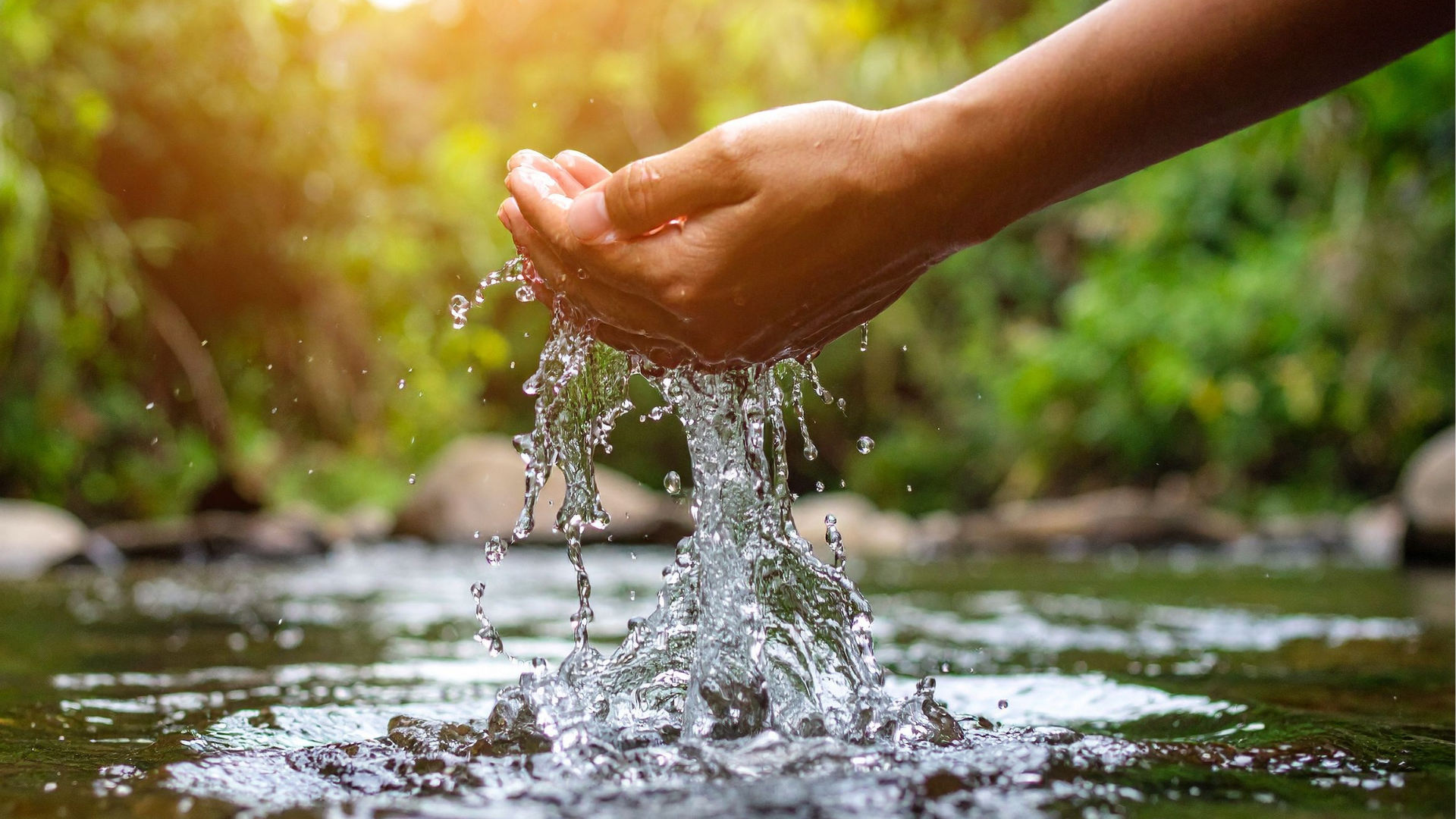 Hand rinsing in clear stream water with splashing droplets and green foliage in the background