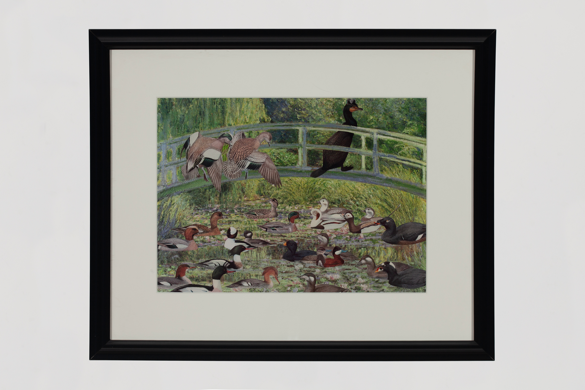 The Duck Problem