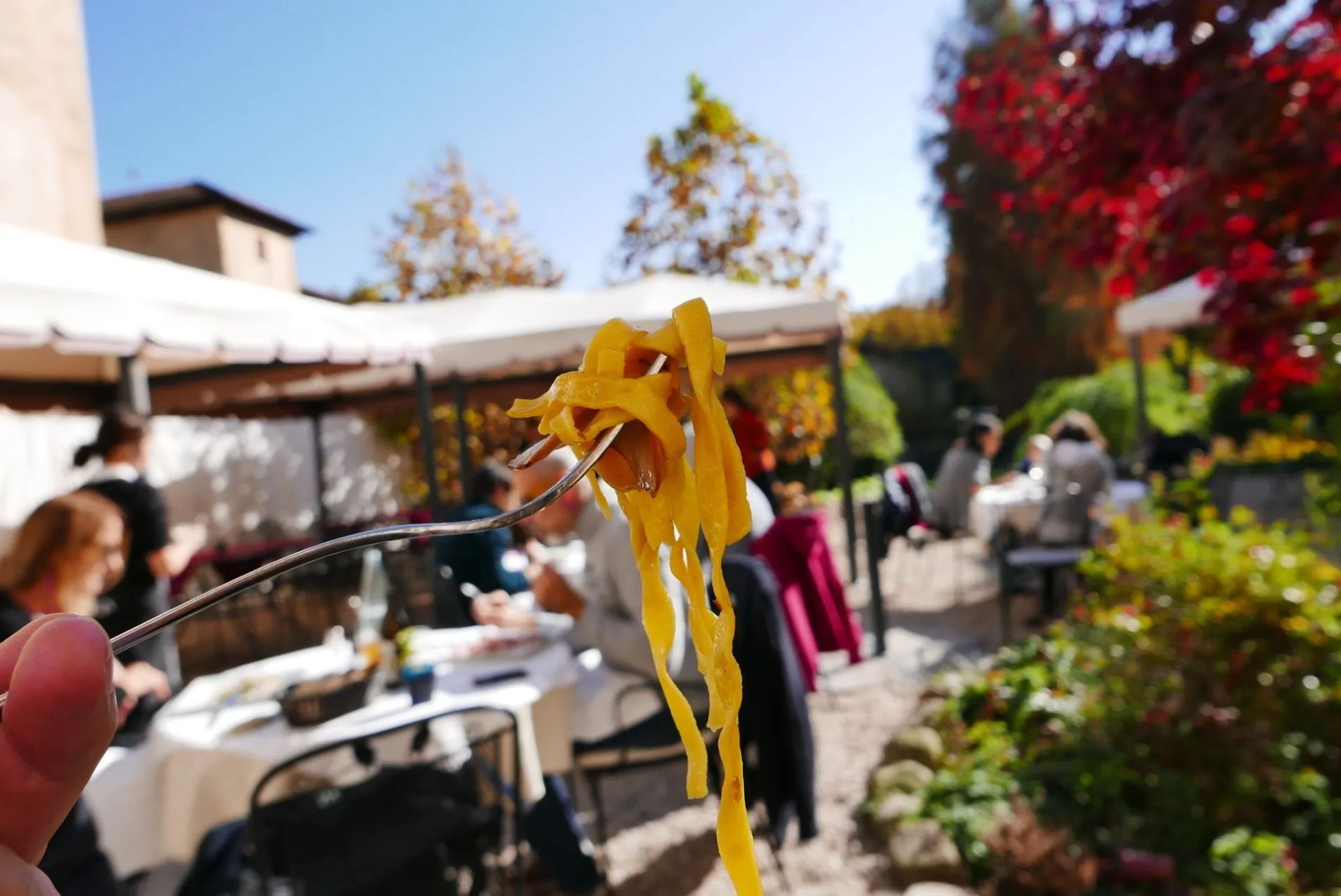Pasta fresca