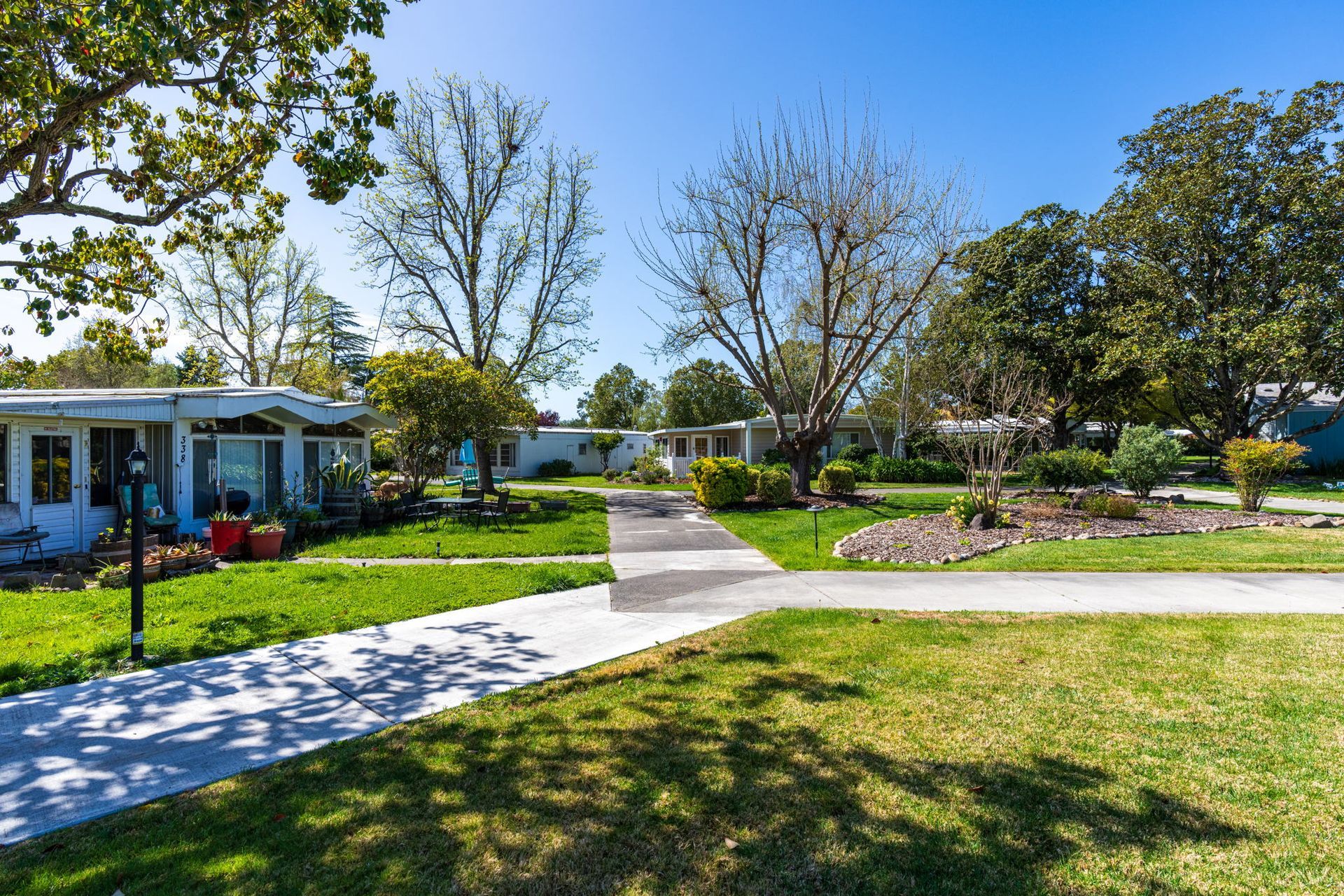 Tree lined block of homes at Moon Valley Community