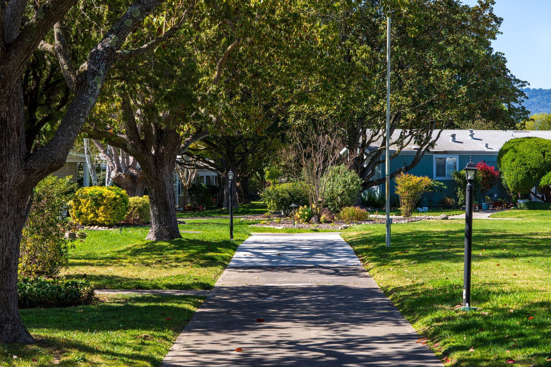 Landscaped Scene at Moon Valley Community