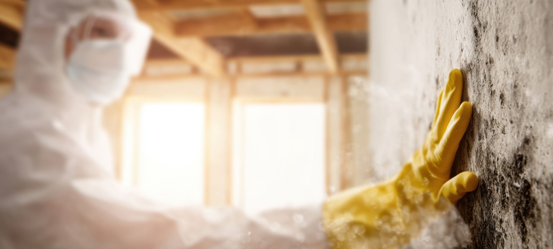 Person in protective gear touching a mold-covered wall inside a building. Person in protective gear touching a mold-covered wall inside a building.