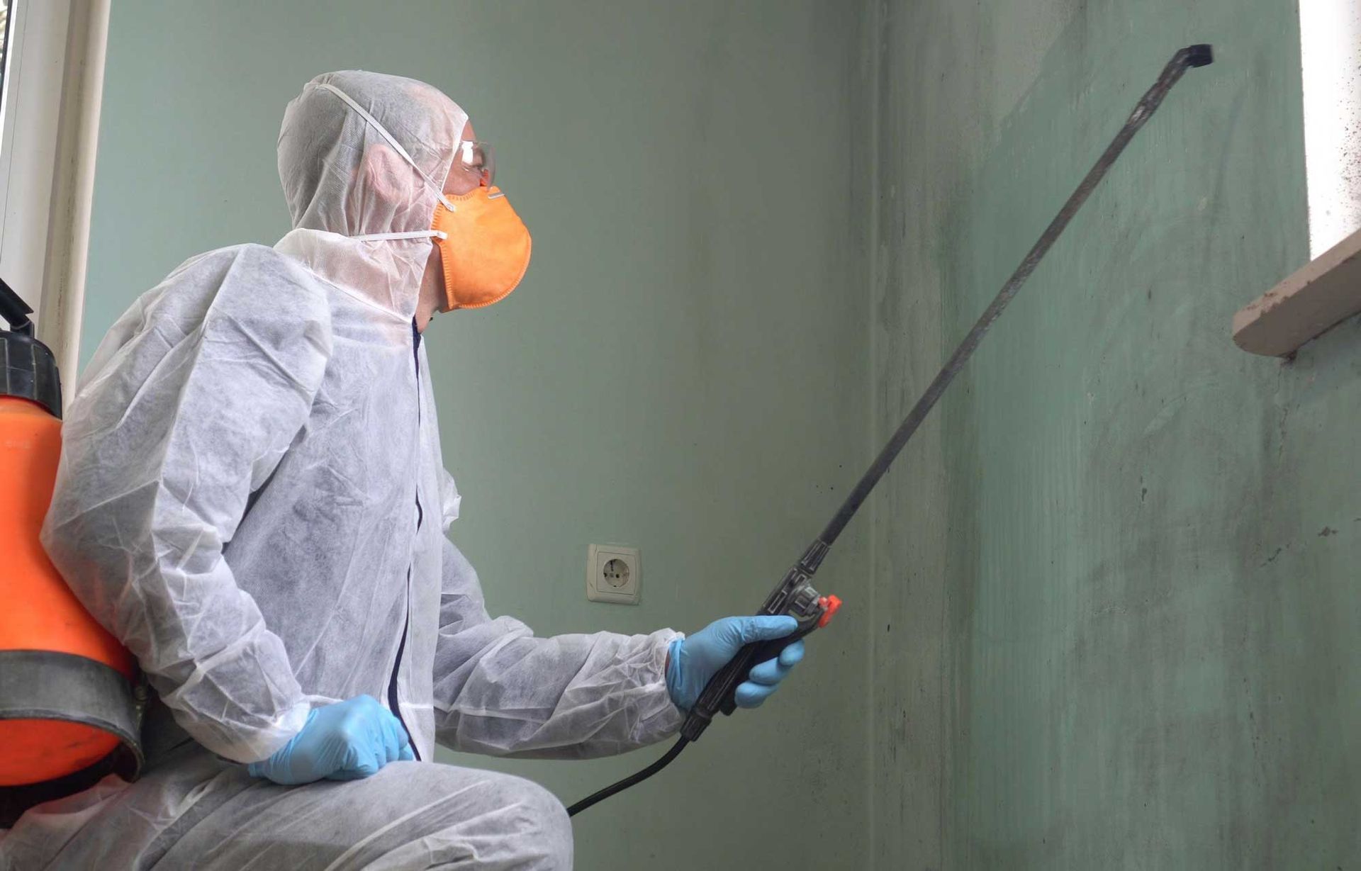 A man is removing mold from a wall.