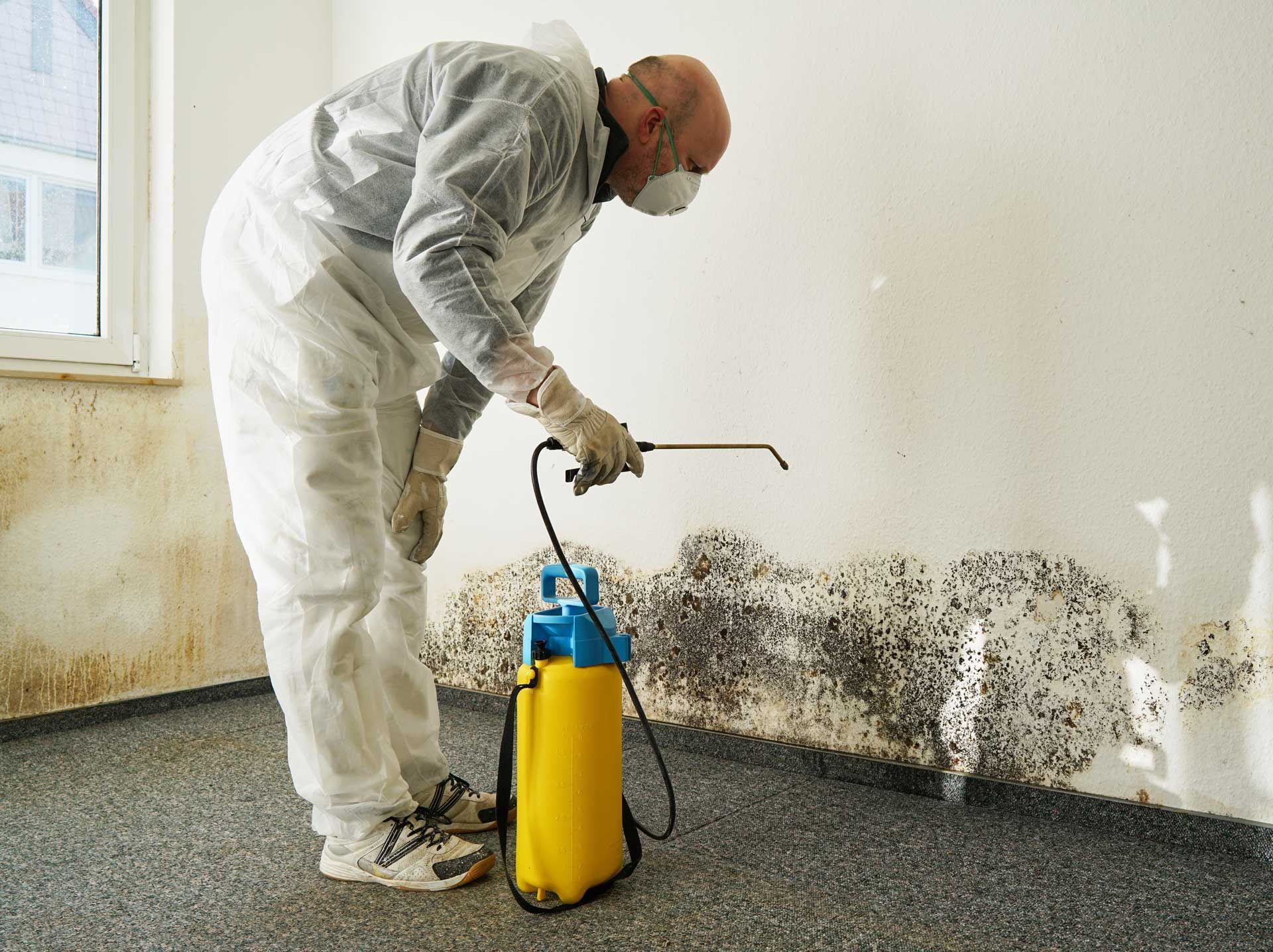 A specialist from a mold remediation company is eliminating severe mold in a house. A specialist from a mold remediation company is eliminating severe mold in a house.