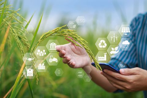 Hands touch green crop leaves with eco icons over a field while another person holds a phone.