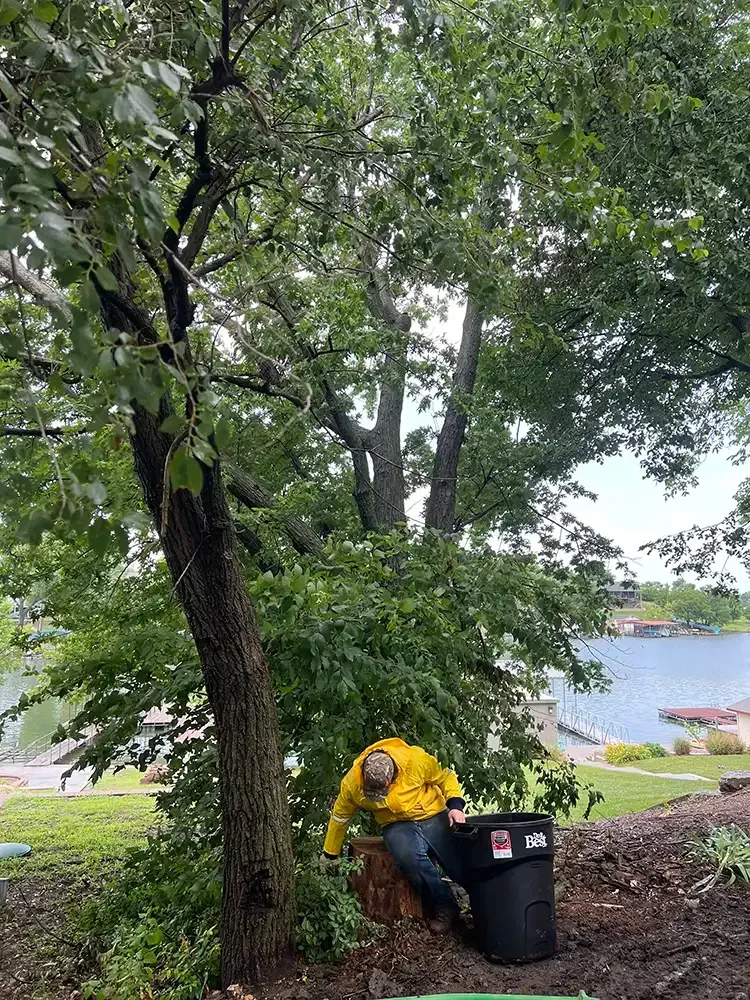 Person in a yellow shirt sitting by a tree beside a black trash bin near a lake.