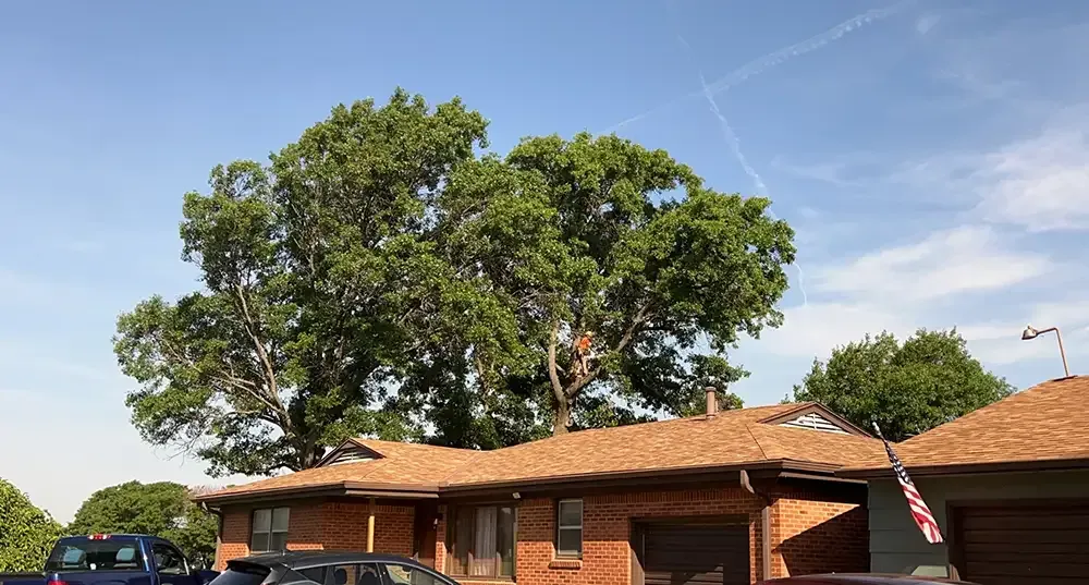 Brick building with red-tiled roof and large tree under a blue sky