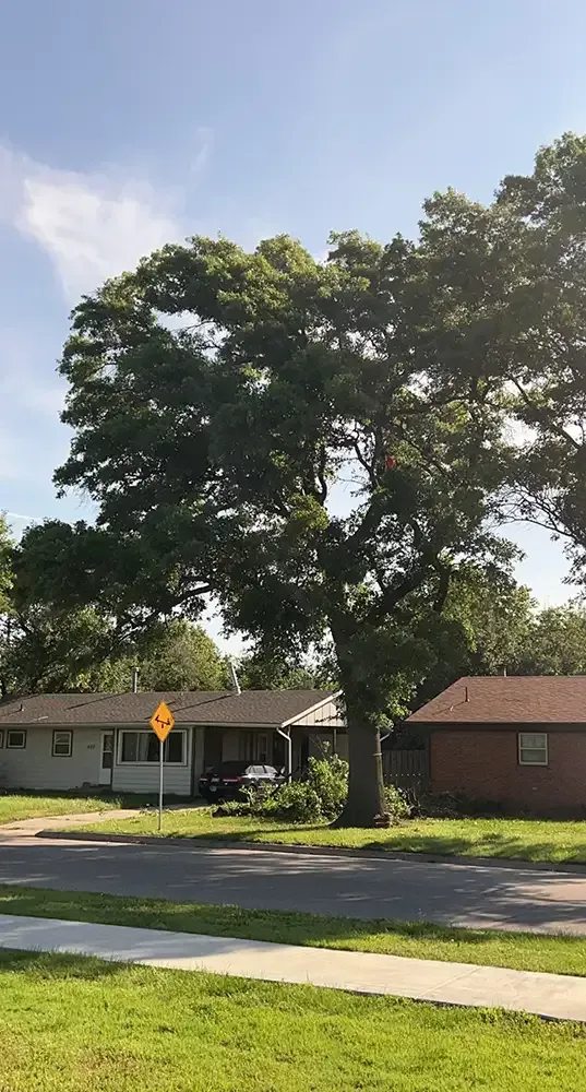 Suburban street with large leafy trees, single-story houses, and a yellow road sign by the road