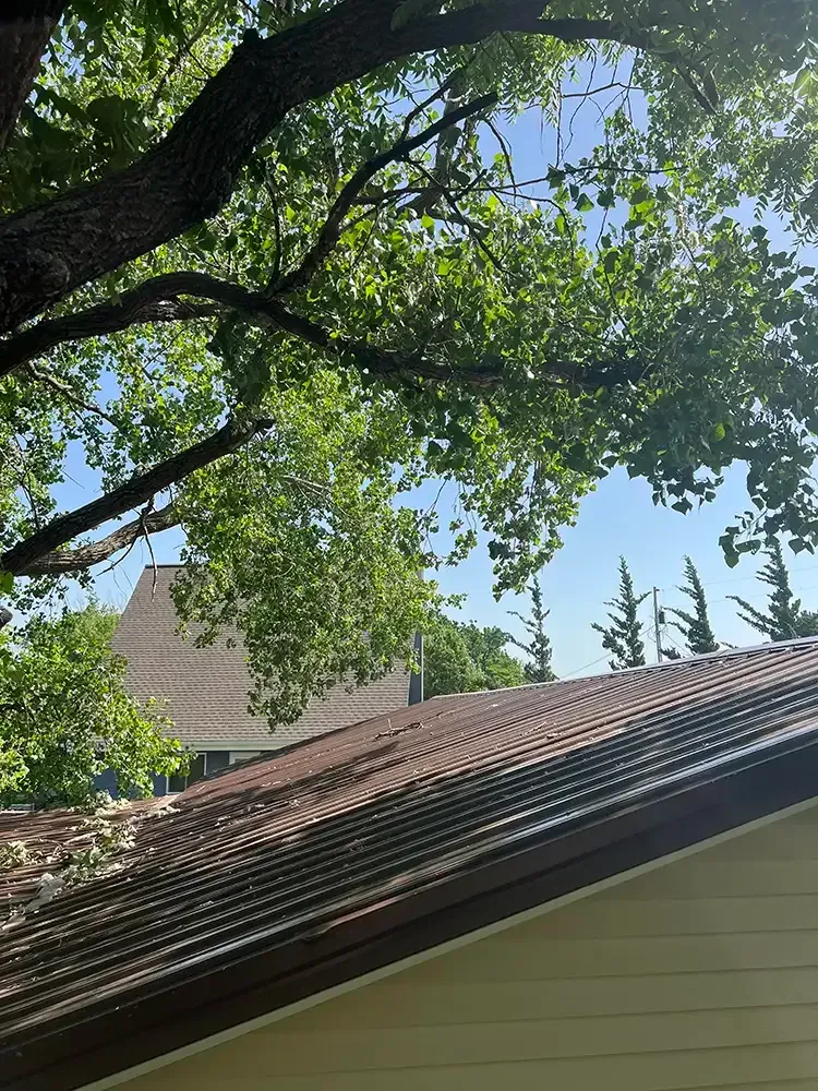 Tree branches over a house roof under a blue sky