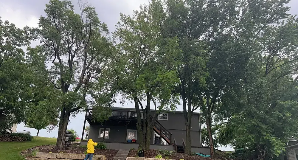 A gray house on a rainy wooded hillside, with a person in a yellow jacket near the steps.