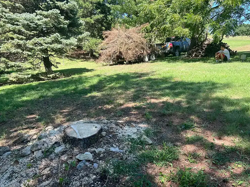 Backyard with grassy lawn, trees, a stone fire pit, and people and equipment in the distance