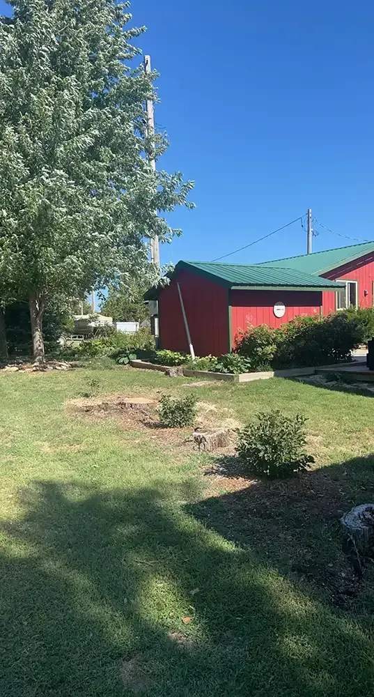 Red building beside a grassy yard and tall tree under a clear blue sky.