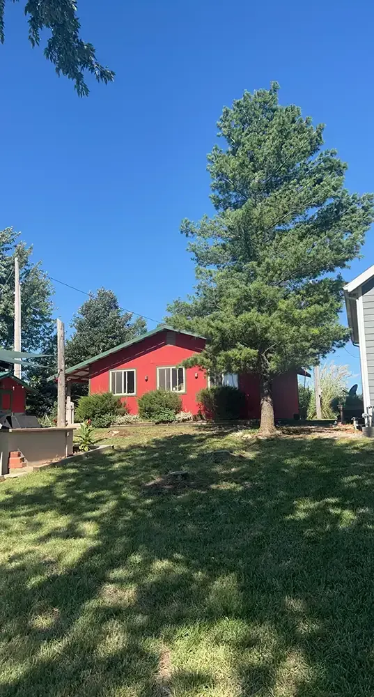 Red house with white trim on a grassy yard under tall pine trees and a clear blue sky.