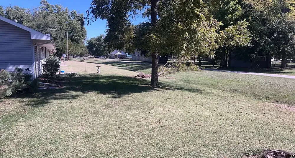 Sunny backyard with green lawn, large trees, and a house on the left.