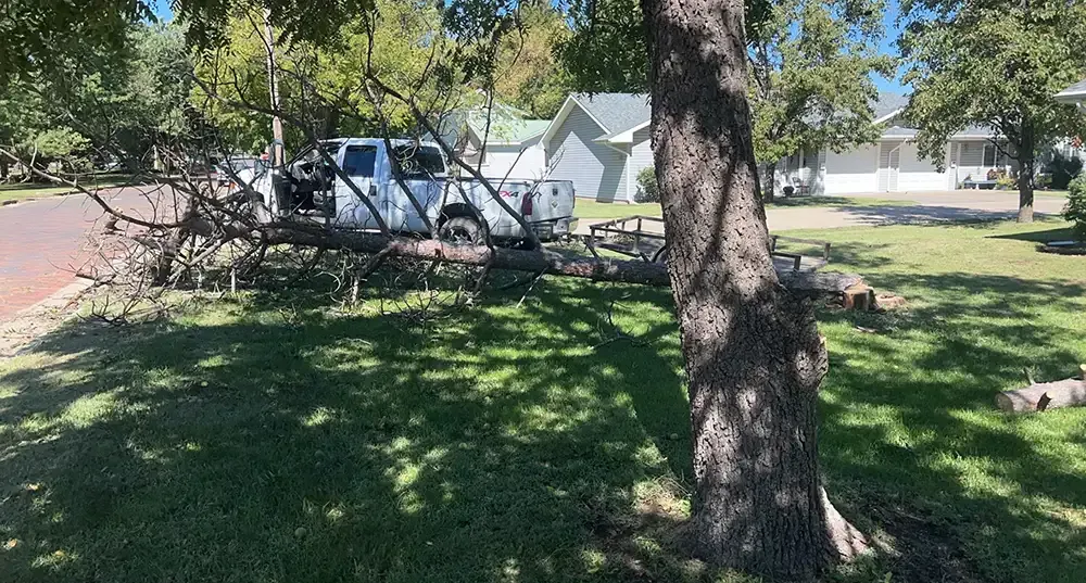 Tree-shaded yard with a white pickup truck near a house on a sunny suburban street