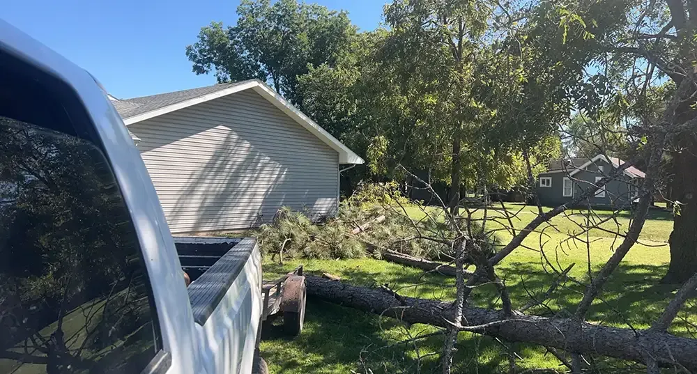 Backyard view with a house, trees, and a parked vehicle in sunlight