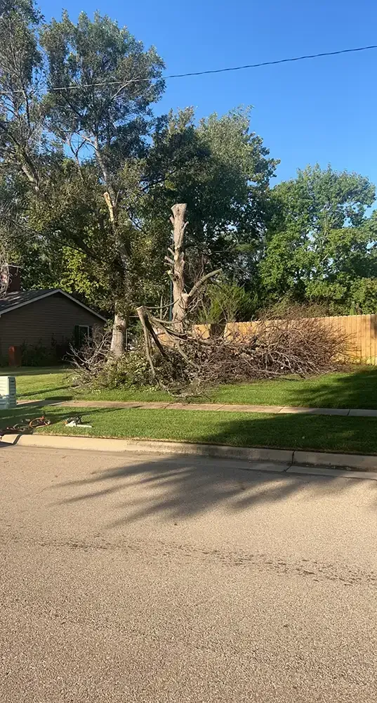 Street view of a large pile of trimmed tree branches beside a suburban lawn and house