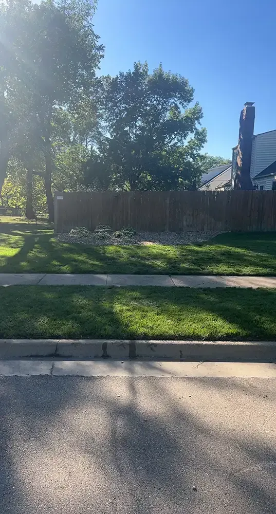 Sunlit suburban street with sidewalk, grassy yard, wooden fence, large tree, and a house behind it