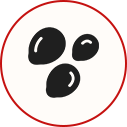 seed icon