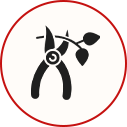 Black figure of a dog on a leash inside a red circle with a diagonal slash, indicating no dogs allowed.