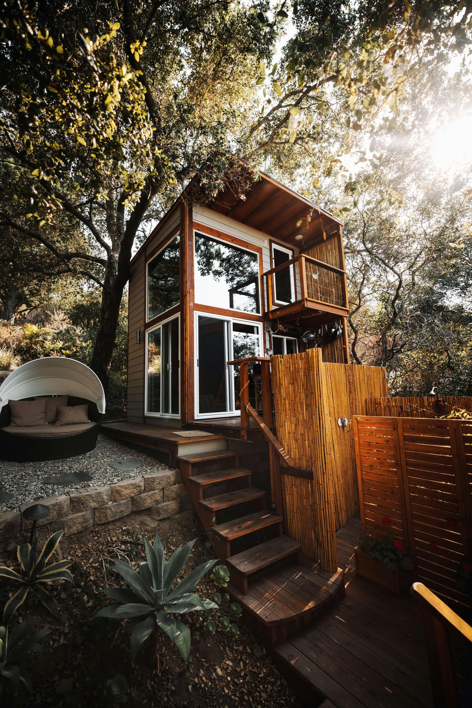 Modern tiny house in a wooded backyard with steps, large windows, and warm sunlight filtering through trees