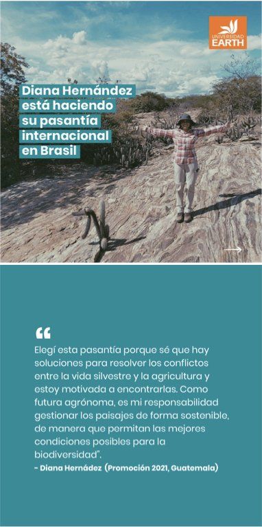 Mujer con los brazos extendidos en Brasil; texto sobre su pasantía y cita sobre la búsqueda de soluciones sostenibles.
