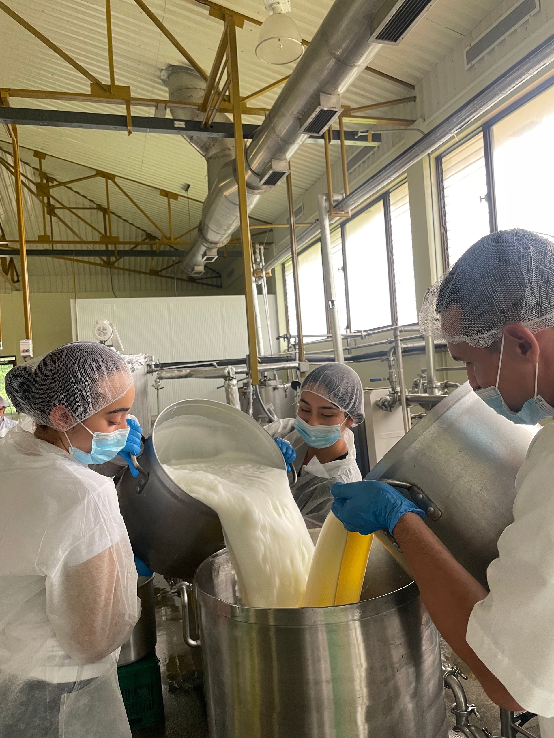 Un grupo de personas está vertiendo leche en una olla grande en una fábrica.
