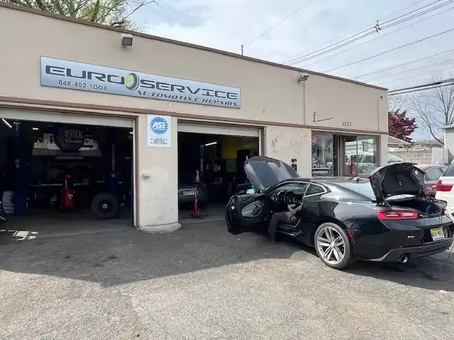 European Specialists