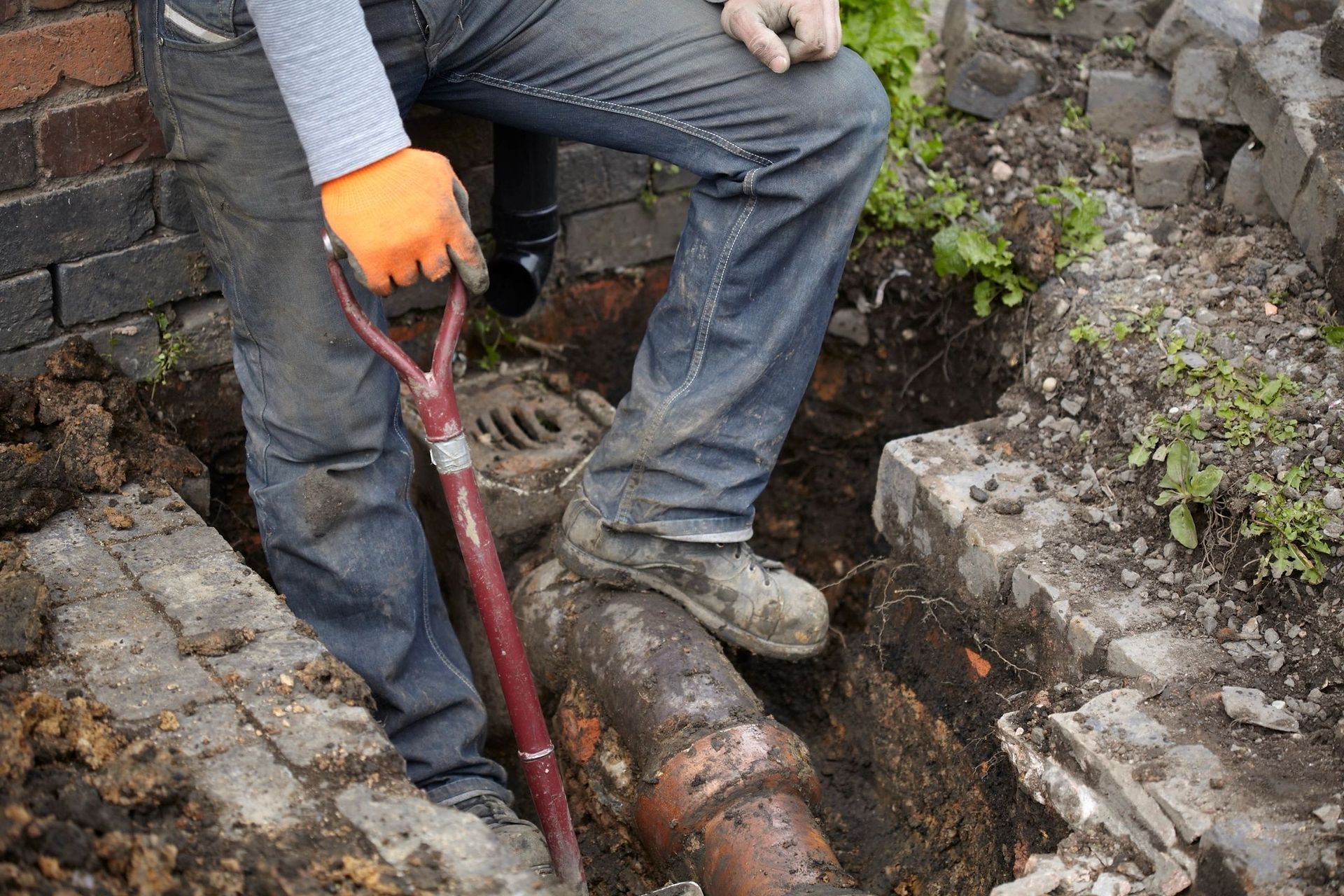 Drain Cleaning
